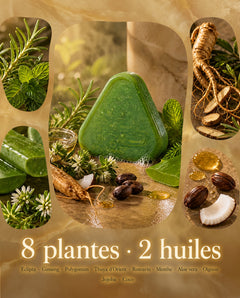 Les 8 plantes et 2 huiles du savon HygieBeauty : ginseng, romarin, menthe, aloe vera, jojoba et coco